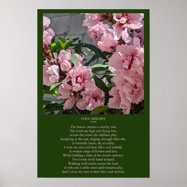 Peach Blossom Photo with Cool Melody Poem Poster (Front)