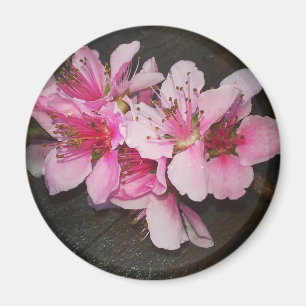 Peach Blossoms Magnet