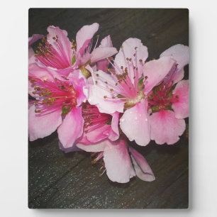 Peach Blossoms Plaque