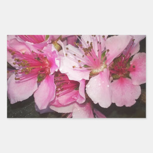 Peach Blossoms Rectangular Sticker