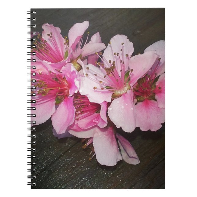 Peach Blossoms Spiral Notebook (Front)