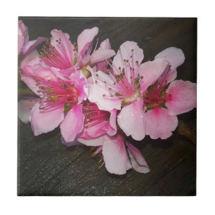 Peach Blossoms Tile