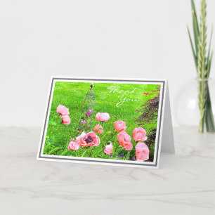 Peach Colored Poppies in Garden Card