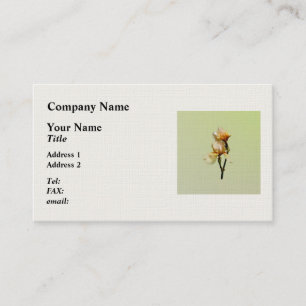 Peach Coloured Irises Business Card