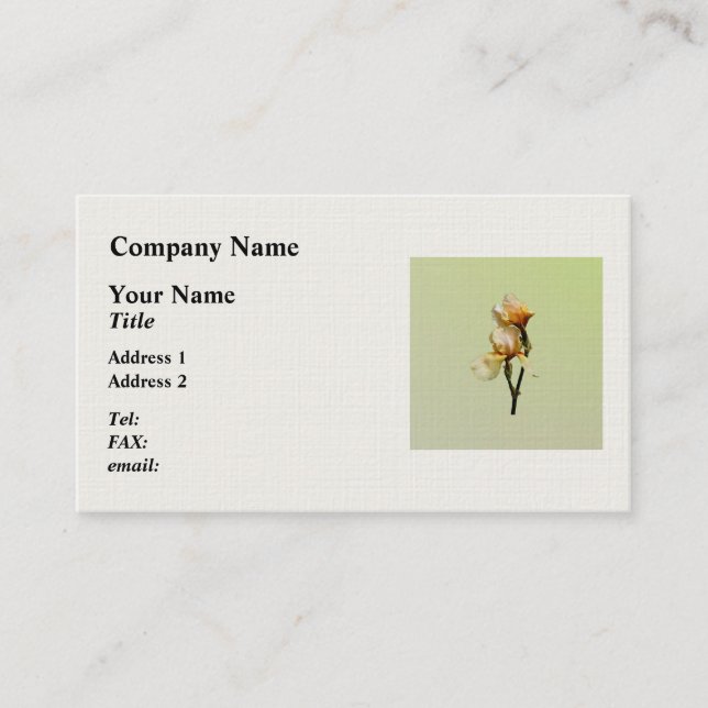 Peach Coloured Irises Business Card (Front)