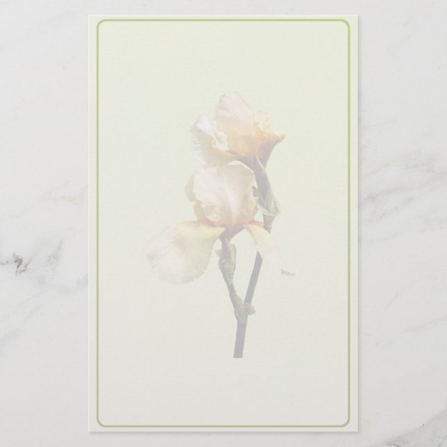 Peach Coloured Irises Stationery (Front)