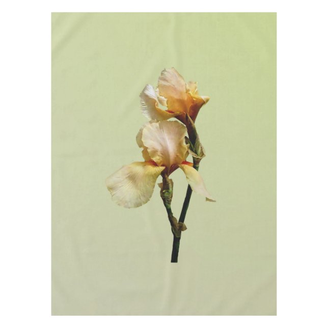 Peach Coloured Irises Tablecloth (Front)