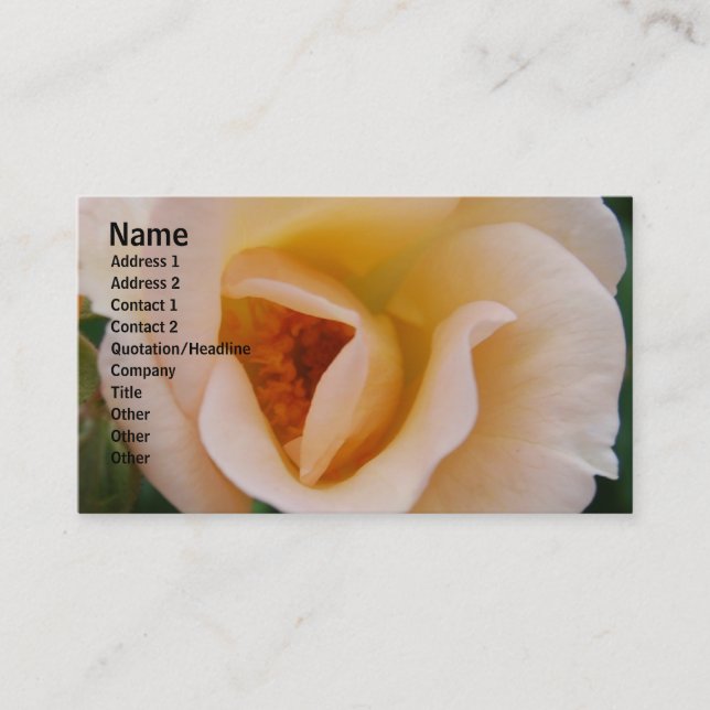 Peach Coloured Rose Business Card (Front)