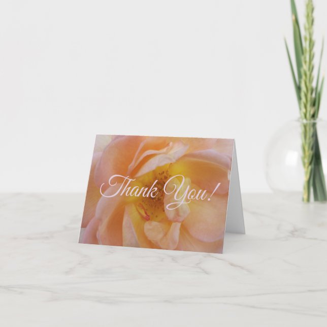 Peach-Coloured Rose Thank You Card (Front)