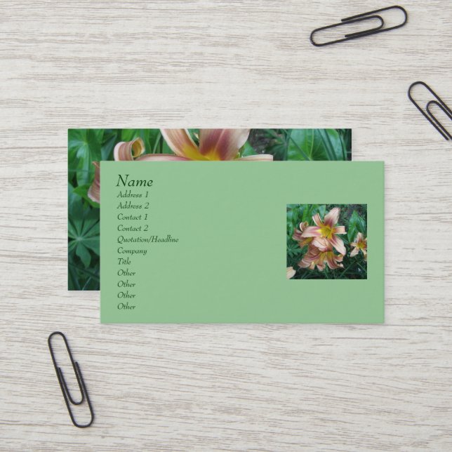 Peach Daylily Business Cards (Front/Back In Situ)