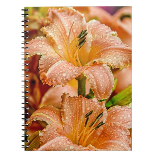 Peach Daylily Notebook (Front)