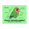 Peach-faced Lovebird Statistics
