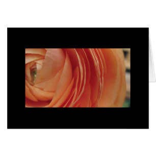Peach Flower