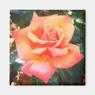 Peach flower magnet