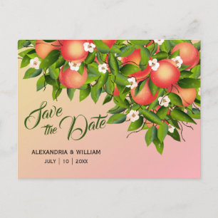 Peach Fruit Botanical   Wedding Save The Date Postcard