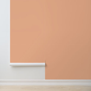 Peach fuzz colour solid background wallpaper