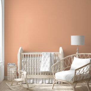 Peach Fuzz Soft Charm and Gentle Warmth Wallpaper