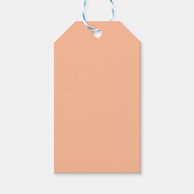 Peach Fuzz Solid Colour Gift Tags (Front)