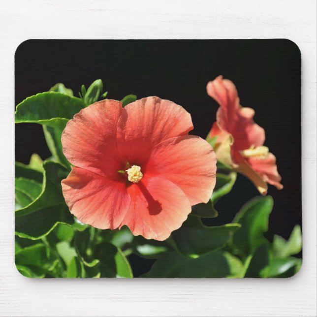 Peach Hibiscus Floral Mouse Pad (Front)