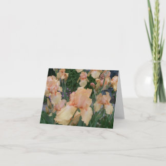 Peach Iris Card