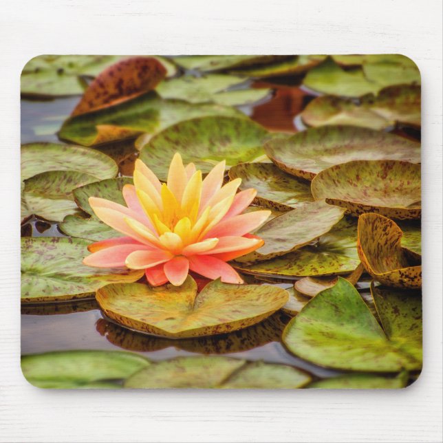 Peach Lotus Flower Mouse Pad (Front)