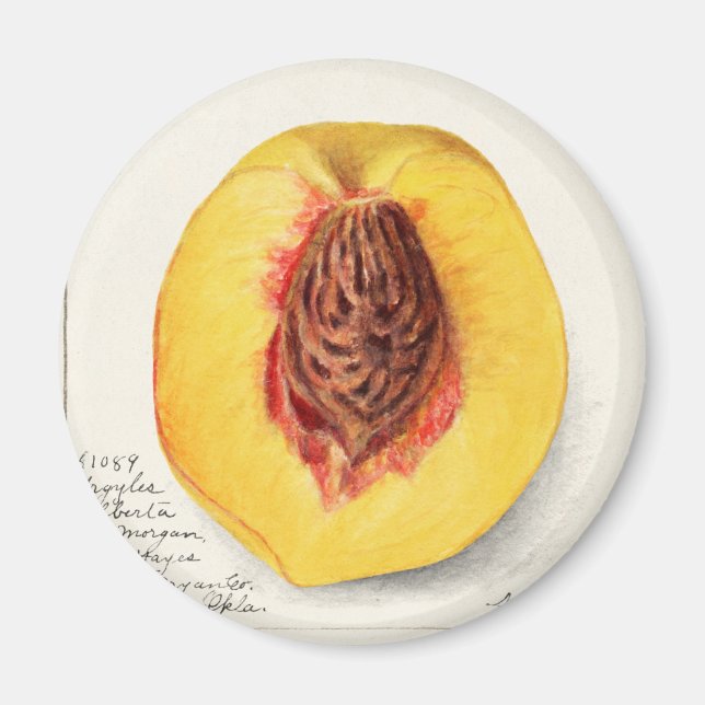 Peach Magnet (Front)