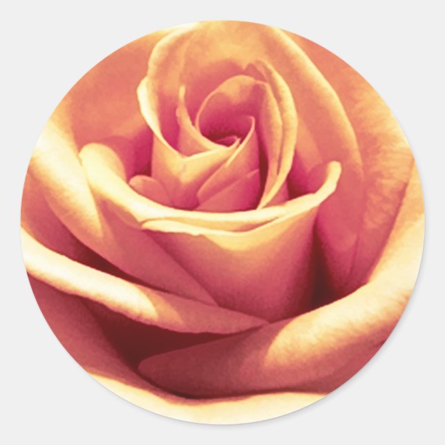 Peach-Orange Envelope Seal Stickers (Front)