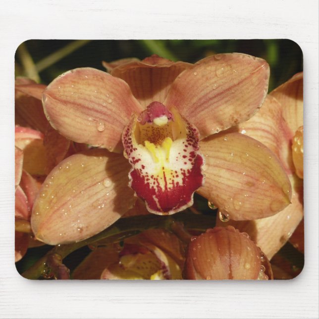 Peach Orchids with Raindrops Floral Mouse Pad (Front)
