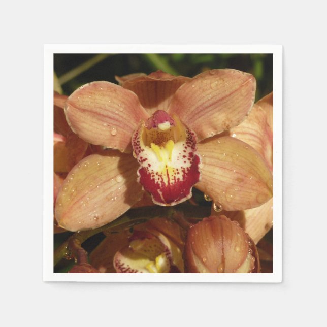 Peach Orchids with Raindrops Floral Napkin (Front)