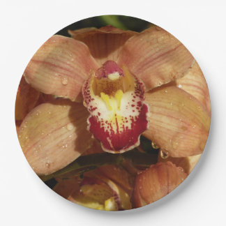 Peach Orchids with Raindrops Floral Paper Plate