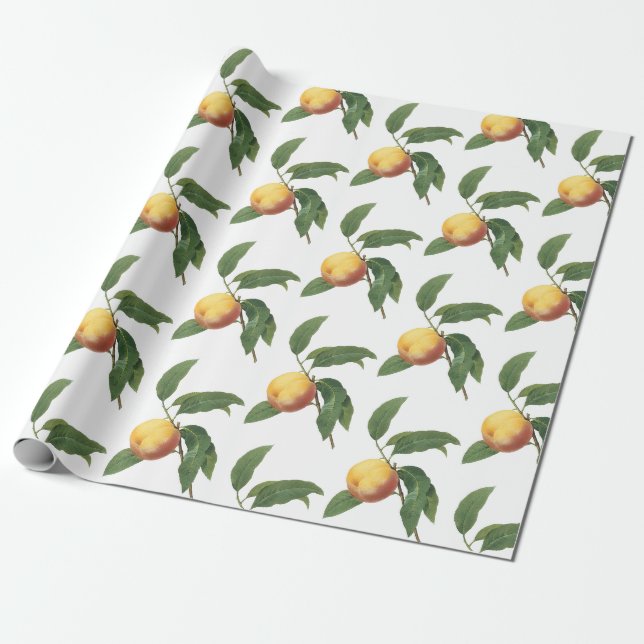 Peach Pattern Wrapping Paper (Unrolled)