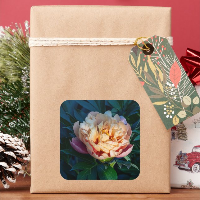 Peach Peony Bloom Square Sticker (Holiday)