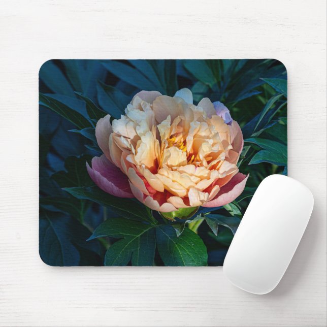 Peach Peony, Soft Bloom Flower Photo Mouse Pad (With Mouse)