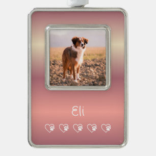 Peach Pet Photo Ornament - Framed, Holiday 