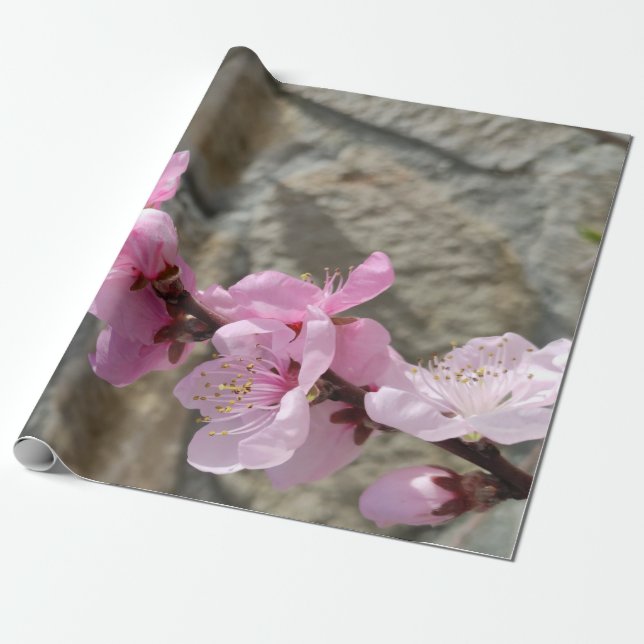 Peach petal flower wrapping paper (Unrolled)
