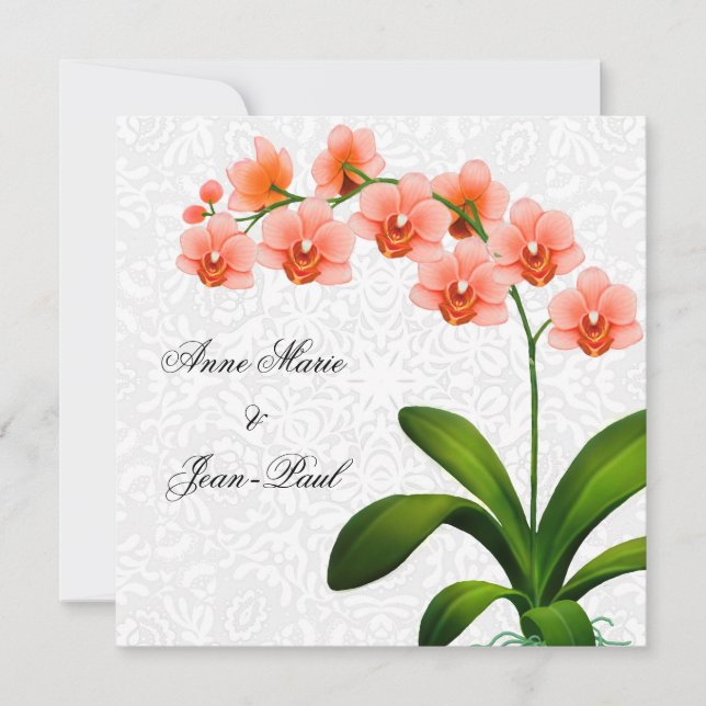 Peach Phalaenopsis Orchids and Lace Wedding Invite (Front)