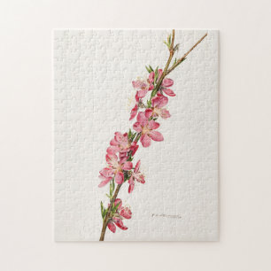 Peach Pink Flowers Watercolor Painting Jigsaw Puzzle