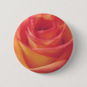 Peach Pink Rose Bloom Vintage Style Photograph 6 Cm Round Badge