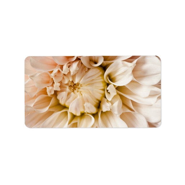 Peach, Pink, White, & Cream Dahlia Background Label (Front)
