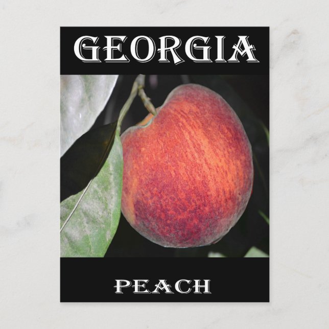 Peach Postcard (Front)