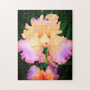 Peach & Purple Iris Jigsaw Puzzle