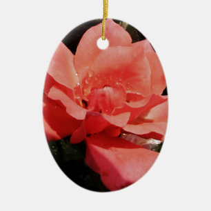 peach rose and dewdrops ceramic tree decoration