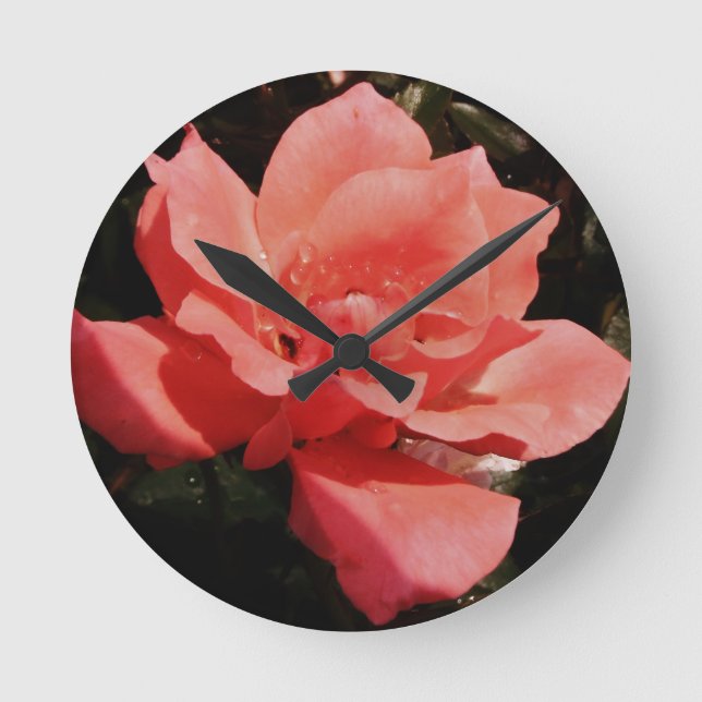 peach rose and dewdrops round clock (Front)