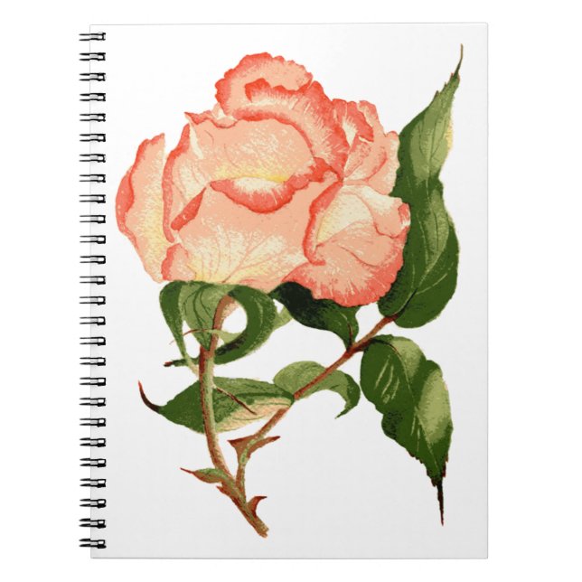 Peach rose botanical watercolor notebook (Front)