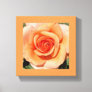 Peach Rose Canvas Print