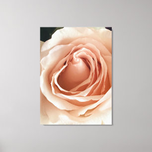 Peach Rose Canvas Print