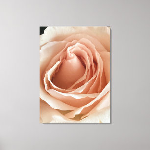 Peach Rose Canvas Print