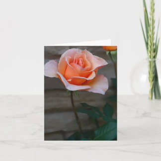 Peach Rose Card