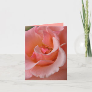 Peach Rose Card Custom Wildflower Greeting Card