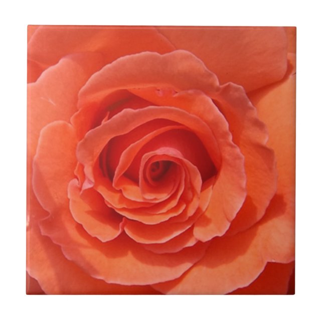 Peach rose ceramic photo tile (Front)